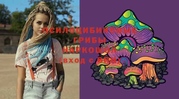 гидропоника Нея