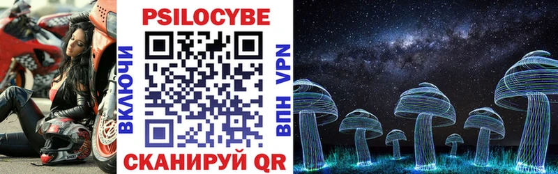 Купить закладки  Дмитров  Галлюциногенные грибы MAGIC MUSHROOMS 