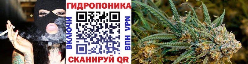 Бошки Шишки конопля Купить где Дмитров